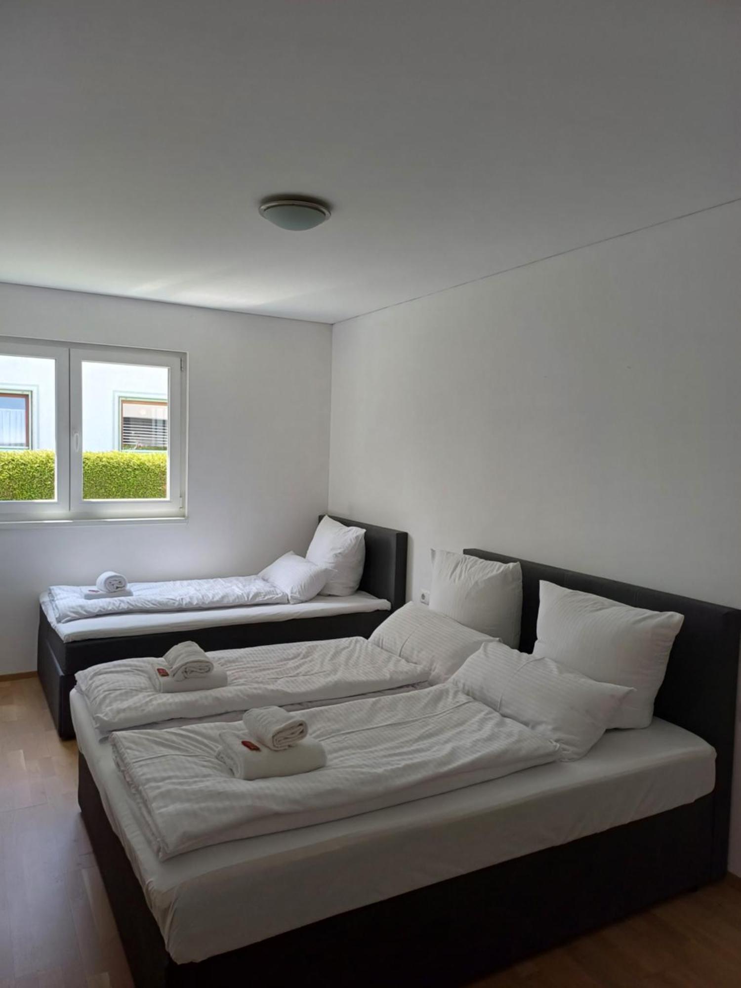 Crown Living Design Apartment - Gratis Parkplatz - Wlan - Kueche - Self Check-In Altach Екстериор снимка